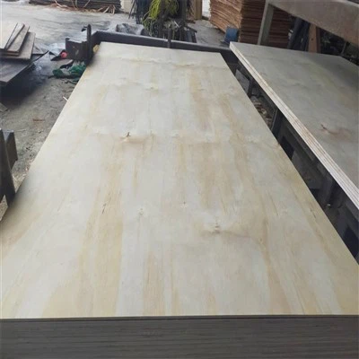 Pine šperploča za oplatnu upotrebu - multi - slojeviti